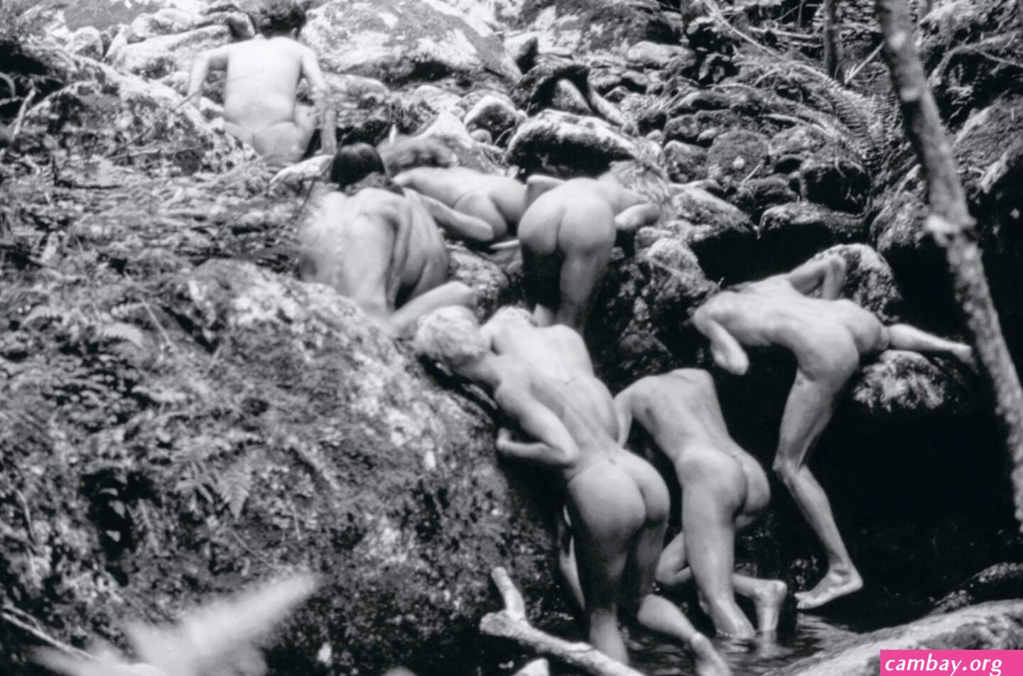 Vintage Nude Hippies Free Nude Camwhores